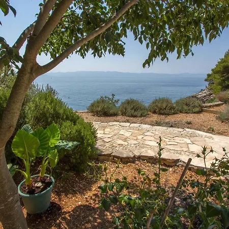 Rapak 12779e * Gdinj