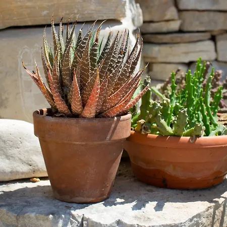 Appartement Rapak 12779e