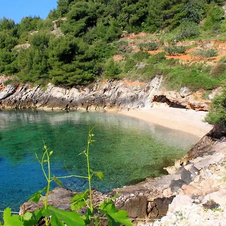 Rapak 12779e Apartment Gdinj